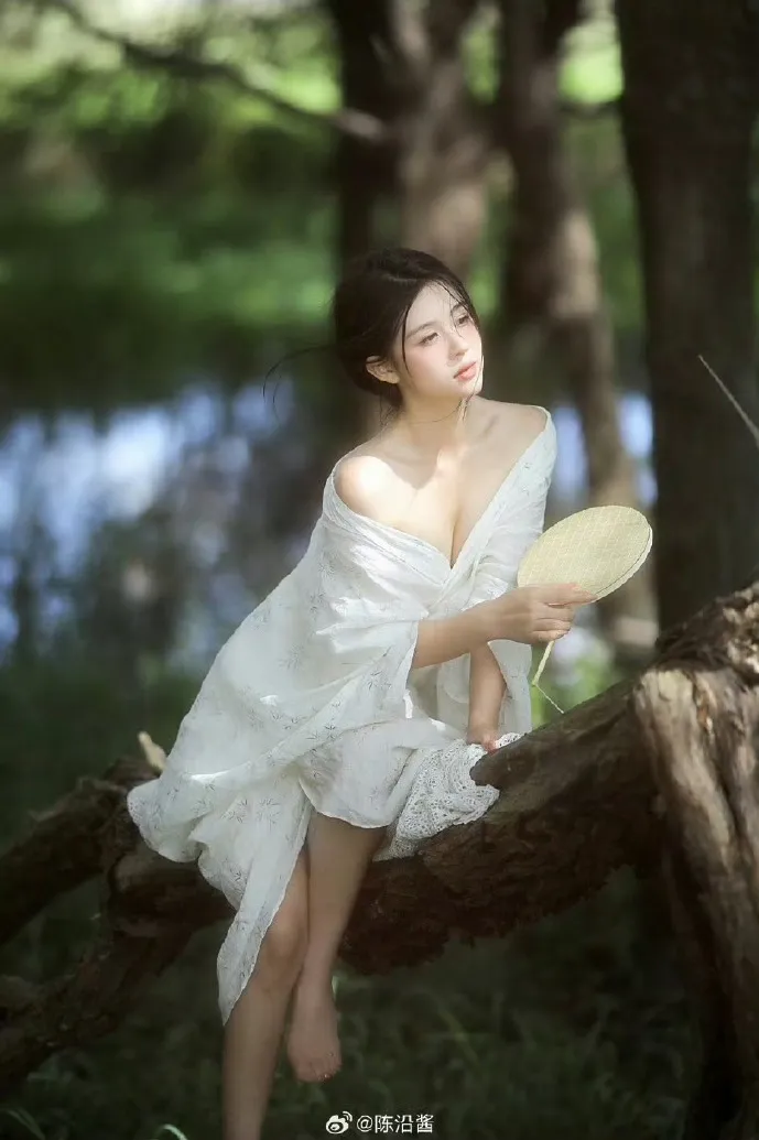 蜘蛛池与网站架构优化的配合